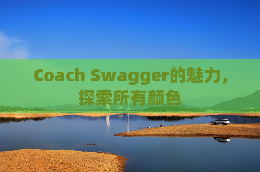 Coach Swagger的魅力，探索所有颜色